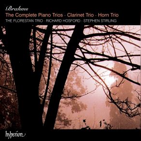 Brahms: Complete Piano Trios · Clarinet Trio · Horn Trio (CD1) album cover
