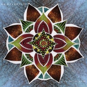 Song Of The Rose album cover