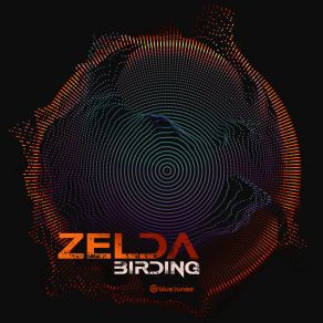 Birding (Maxi-Single) album cover