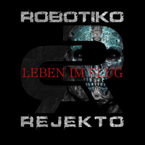 Leben Im Flug (Single) album cover