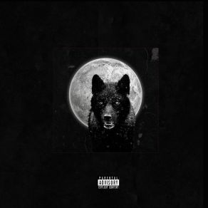 Moment Of Truth album cover