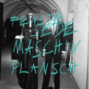 Feinste Seide album cover