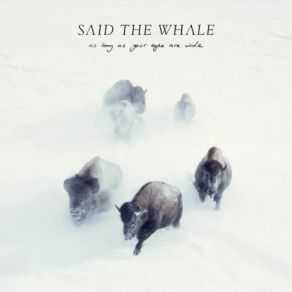 As Long As Your Eyes Are Wide album cover