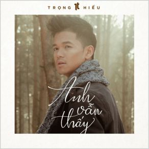 Anh Van Thay album cover