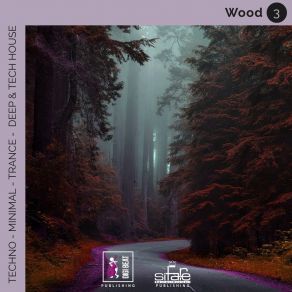 Wood 3 (Techno Minimal Trance Deep And Tech House Remix) album cover