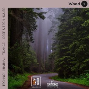 Wood (Techno Minimal Trance Deep And Tech House Remix) album cover