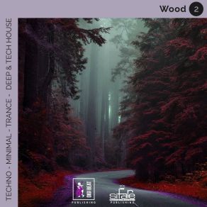 Wood 2 (Techno Minimal Trance Deep And Tech House Remix) album cover