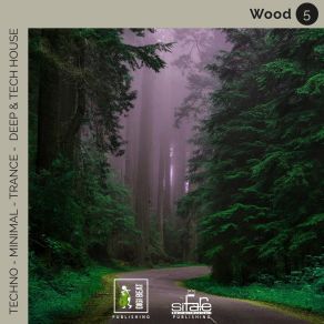 Wood 5 (Techno Minimal Trance Deep And Tech House Remix) album cover