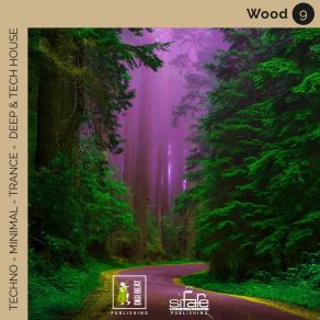 Wood 9 (Techno Minimal Trance Deep And Tech House Remix) album cover