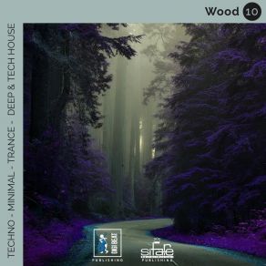Wood 10 (Techno Minimal Trance Deep And Tech House Remix) album cover