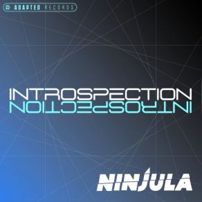 Introspection album cover