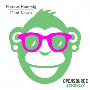 Mind Crash album cover