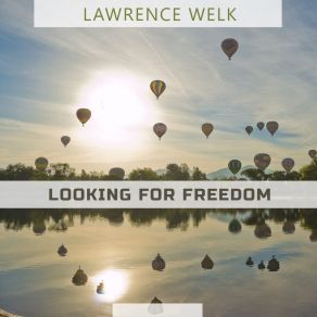 Looking For Freedom album cover