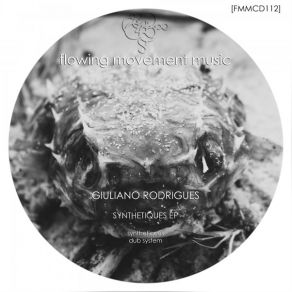 Synthetiques album cover