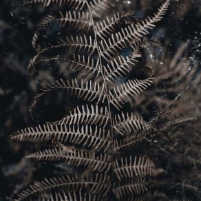 Buried album cover