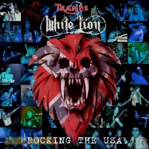 Rocking The USA (CD1) album cover