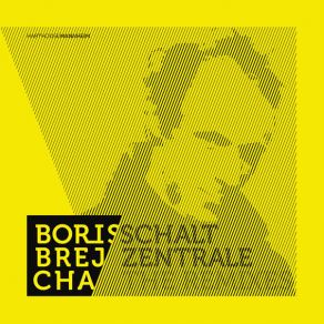 Schaltzentrale - The Remixes album cover