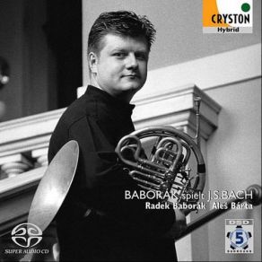 Baborak Plays J. S. Bach album cover