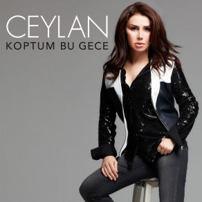 Koptum Bu Gece (Single) album cover