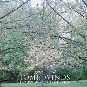Home Winds album cover