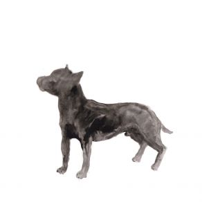 A Dog Called Money / I'll Be Waiting album cover
