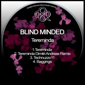 Tereminda album cover