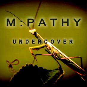 Undercover album cover