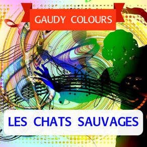 Gaudy Colours album cover