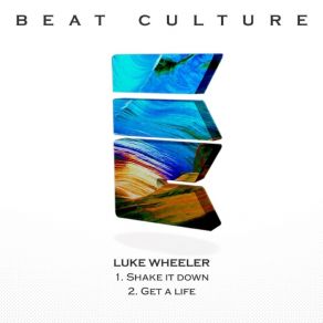 Shake It Down / Get A Life album cover