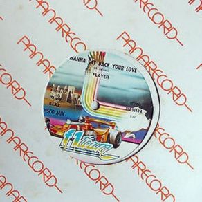 Wanna Get Back Your Love (Vinyl, 12'') (Maxi-Single) album cover
