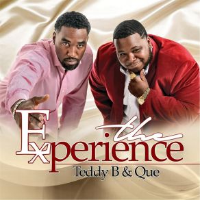 The Experience album cover