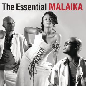 The Essential album cover