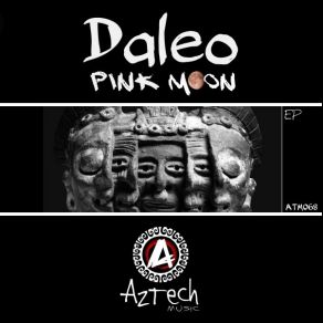 Pink Mooon album cover