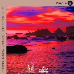 Purple 9 (Remix Version) album cover