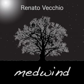 Medwind album cover