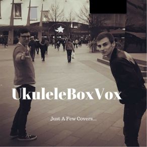 Just A Few Covers... album cover