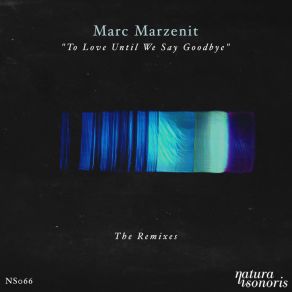 To Love Until We Say Goodbye The Remixes album cover