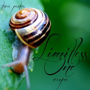 Limitless One (Rupa) album cover