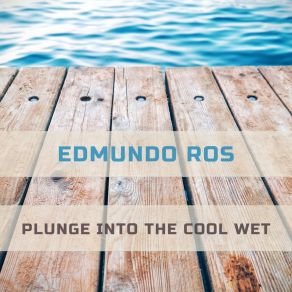 Plunge Into The Cool Wet album cover