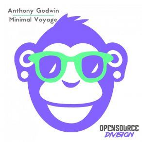 Minimal Voyage album cover