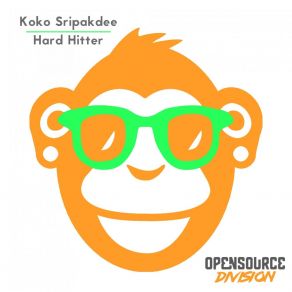 Hard Hitter album cover