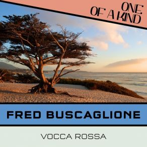 Vocca Rossa album cover