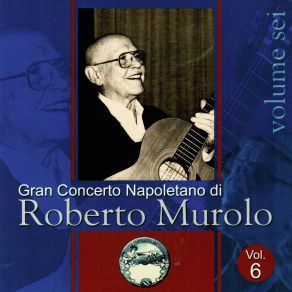 Gran Concerto Napoletano, Vol. 6 album cover