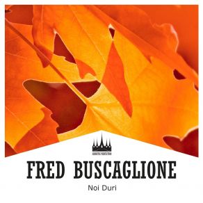Noi Duri album cover
