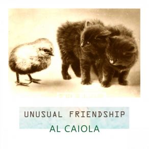 Unusual Friendship album cover