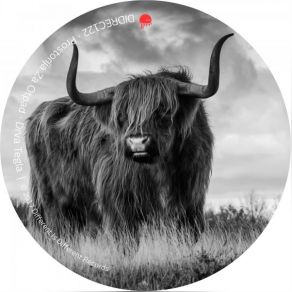 Drva Tegla album cover