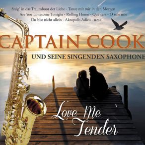 Love Me Tender album cover