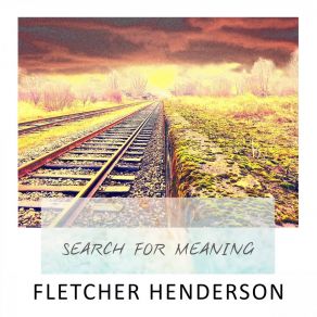 Search For Meaning album cover