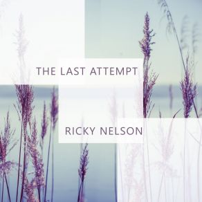 The Last Attempt album cover