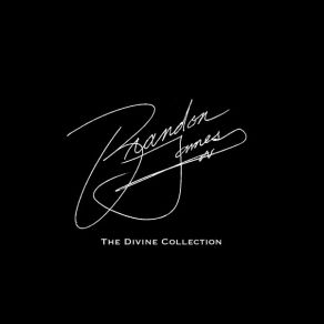 The Divine Collection album cover